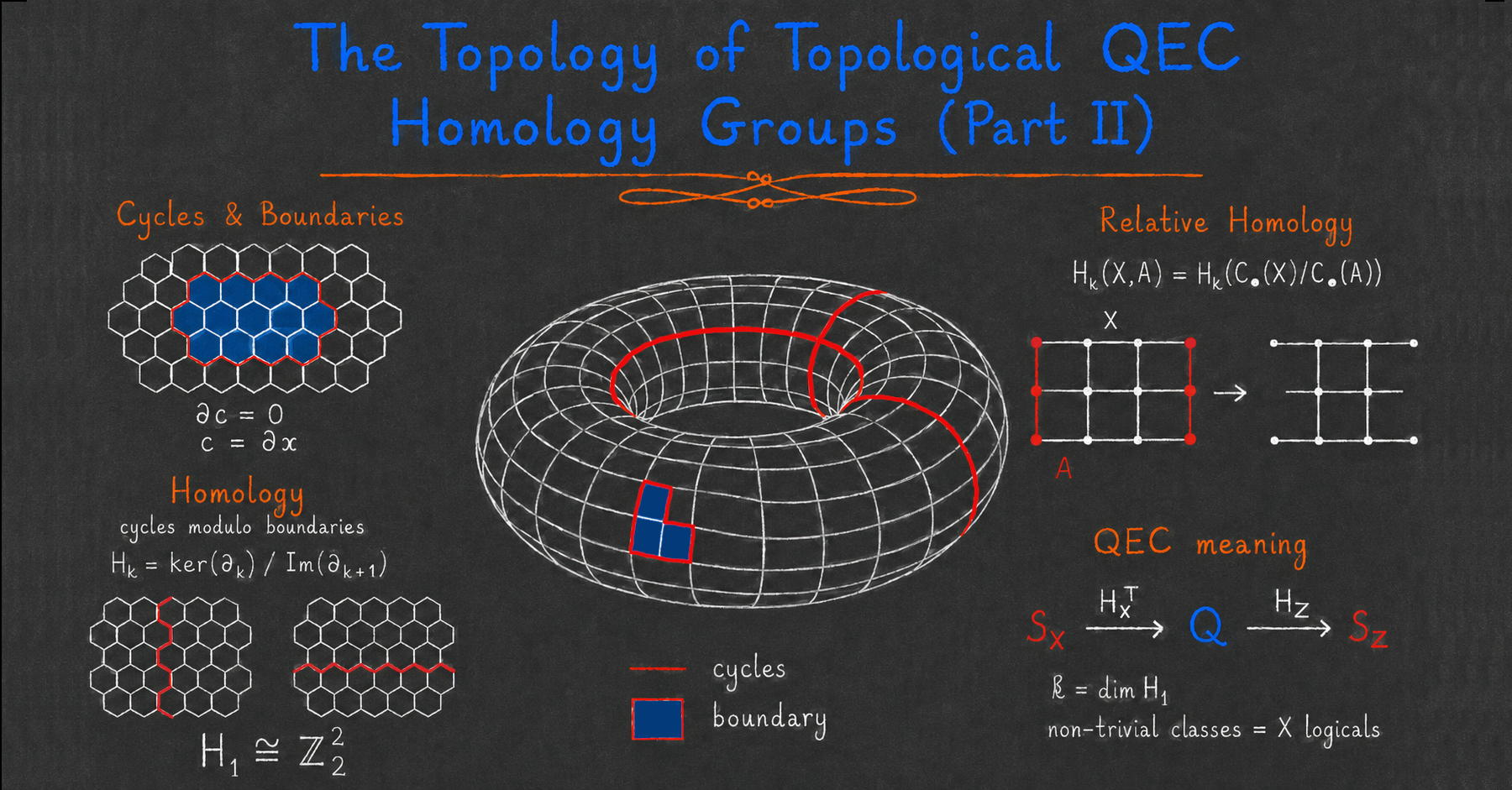 The topology of topological QEC II — Homology groups